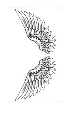 two wings that are drawn in black and white