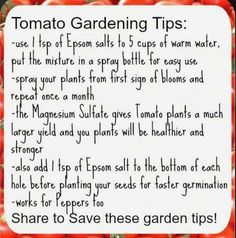 some tomatoes are in the background and there is a handwritten note on it that says tomato gardening tips