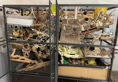 a cage filled with lots of different types of birds and other things on top of it