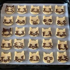 the cookies are shaped like cats and have glasses on them