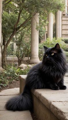 a long haired black cat sitting on top of a stone bench next to some trees