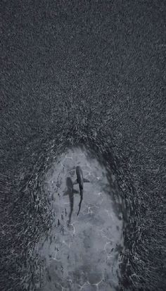 two people are swimming in the water on a black and white photo, with one person holding an umbrella