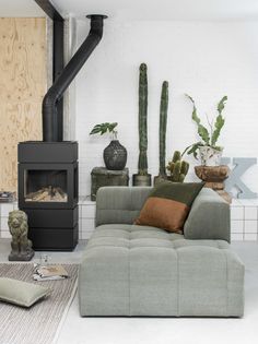 a living room with a couch, fireplace and various potted plants on the wall