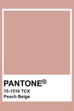 the pantone color is shown in this image