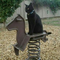 a black cat sitting on top of a metal horse shaped bench in front of a fence