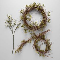 two wreaths made out of twigs and flowers on a white surface with the stems still attached