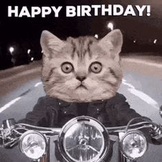 a cat sitting on top of a motorcycle with the caption'happy birthday '