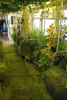 the inside of a train with plants growing on it