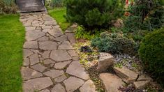 a stone path in the middle of a garden