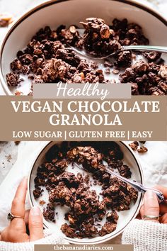 healthy vegan chocolate granola in a bowl