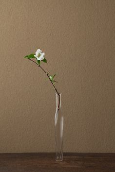 a single white flower in a clear vase on a wooden table next to a wall