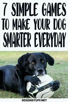 a black dog holding a soccer ball with the words 7 simple games to make your dog smarter everyday