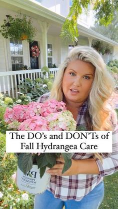 the do's and don'ts of fall hydrangea care