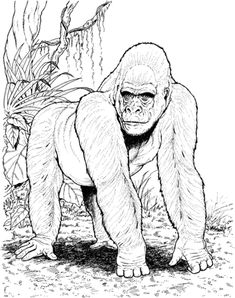 a drawing of a gorilla standing in front of a fire hydrant with his head down