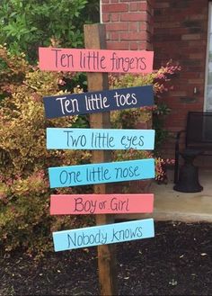 Twinkle Twinkle Little Star Gender Party, Cool Gender Reveal Ideas, Ways To Reveal Baby Gender, Boy Or Girl Sign, Gender Reveal Box, Gender Reveal Signs, Gender Reveal Banner