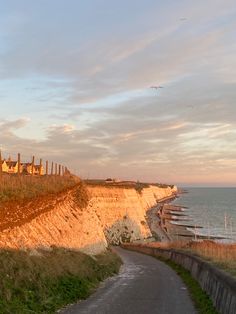 an empty road next to the ocean with houses on the cliff side and seagulls flying in the sky