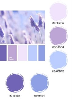 the color scheme for lavender is shown here