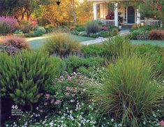 the front yard is full of flowers and plants