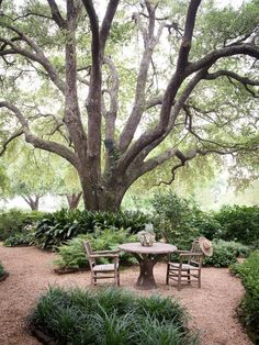 a table and chairs under a large tree in the middle of a garden with lots of greenery