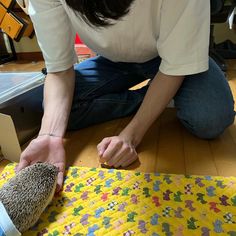 a woman kneeling down on the floor next to a hedgehog rug and sewing machine