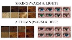 Soft Autumn Color Palette, Colored Hair Tips, Makeup Secret, Spring Color Palette, Power Colors, Fall Color Palette, Cool Undertones, Light Eyes