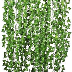 PRICES MAY VARY. Artificial Ivy Vine, looks like real plants. Ture to nature,widely use and durable. Perfect for decorating house hotel wedding party etc. Ideal for weddings, festivals,parties ,home decorations,gardens,fencing,floral tributes,sheds and many more. Set includes: 4 Pack 26.24 Feet artificial ivy garlands Description:Made of high quality material, durable.It can used for decorate home, wedding, party, etc Fake Ivy, Vine Decoration, Jungle Theme Parties, Artificial Hanging Plants, Ivy Leaves, Ivy Plants, Ficus Elastica, Hanging Vines, Wedding Wall Decorations