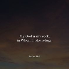 "The Lord is my rock and my fortress and my savior, my God, my rock, in whom I take refuge; my shield and the horn of my salvation, my stronghold. I call upon the Lord, who is worthy to be praised, and I am saved from my enemies." Psalm 18:2-3

bible on Instagram