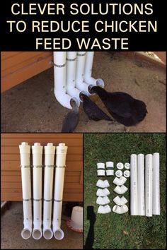 there are many different types of water pipes and hoses on the ground with text overlay that says clever solution to reduce chicken feed waste