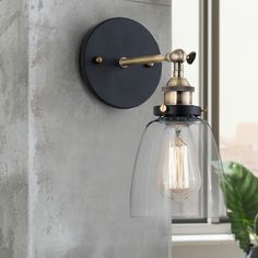 a wall light with a glass shade on it next to a potted plant in front of a window