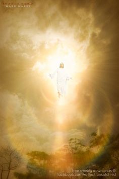 an image of jesus on the cross surrounded by clouds and sunbeams with trees in the foreground