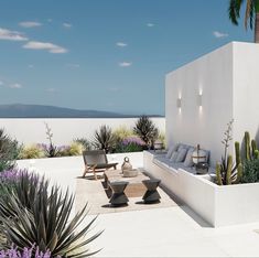 an outdoor living area with couches, chairs and plants on the side of it