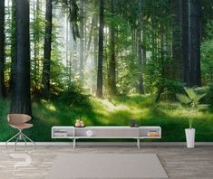 a forest scene with sunlight shining through the trees and grass in the foreground, wall mural