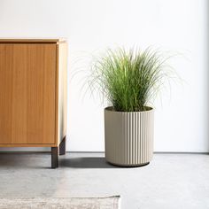 a potted plant sitting next to a wooden cabinet