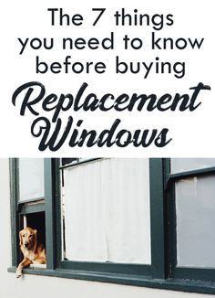 a dog looking out the window with text overlay that reads, the 7 things you need to know before buying replacement windows