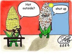 two corn cobs sitting on a bench in front of a red wall with the caption'ta calor la flora? '