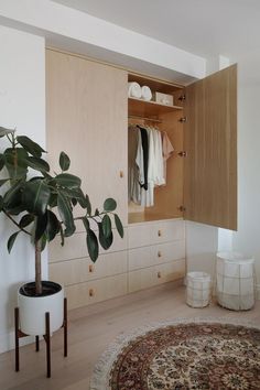 a plant is in the corner of a room next to a dresser and closet door