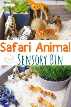 the safari animal sensory bin is filled with toy animals and fake grass to make it look like they are playing in the sand