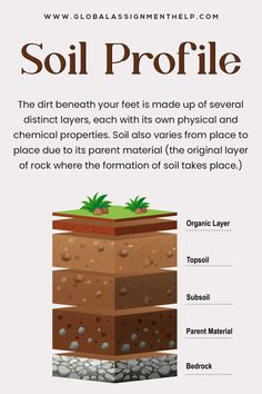 the soil profile is shown in this graphic, which shows how it's different layers