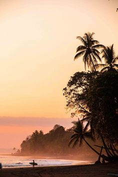 two people walking on the beach with surfboards under palm trees at sunset or dawn