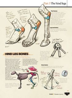 an old book with drawings and instructions on how to use the legs for foot surgery