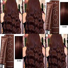 5.68 Hair Color, Dark Light Brown Hair, Goldwell Color Chart, Matrix Hair Color Chart, Castaño Chocolate, Igora Hair Color, Cabello Color Chocolate, Matrix Hair Color, Brown Hair Looks