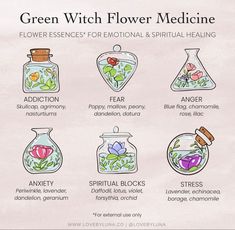 Herbs For Spiritual Awakening, Green Witch Ideas, Green Witch Plants, Witchcraft Flowers, Flower Witchcraft, Flower Medicine, Wicca Aesthetic, Aesthetic Magic, Wicca Recipes