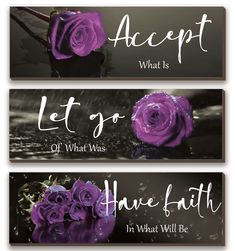 three banners with purple roses and the words accept what is, let go of what was have faith in what will be