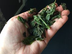 a person holding some green leaves in their hand