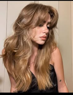 70s Layers Hair Long Shag, Low Maintenance 70s Haircut, Lady Mullet Long, Shaggy Layers Medium Hair, Haircuts Ideas For Thick Hair, Lots Of Layers Medium Hair With Bangs, 70s Layered Hair With Bangs, Layered Shag With Fringe Long, Julia Roberts Style 90s Hair