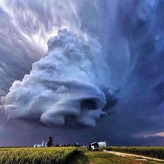 a very large cloud is in the sky above a farm road and corn field with a tractor