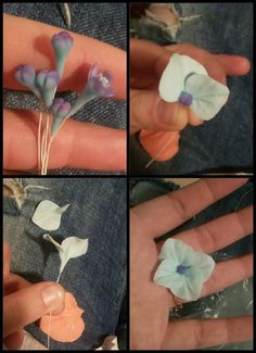 four different pictures of flowers being held in someone's hand, with the petals still attached