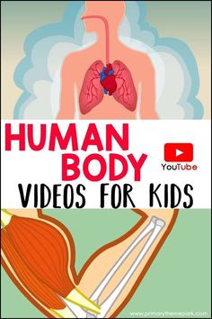 A collection of human body videos for kids on YouTube. These videos are a perfect complement to a human body unit study or theme. Human Body Video, Human Body Videos, Human Body Unit Study, Education Science, Homeschool Learning