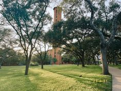 a tall tower with a clock on it's side surrounded by trees and grass