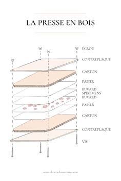 a diagram showing the layers of a table